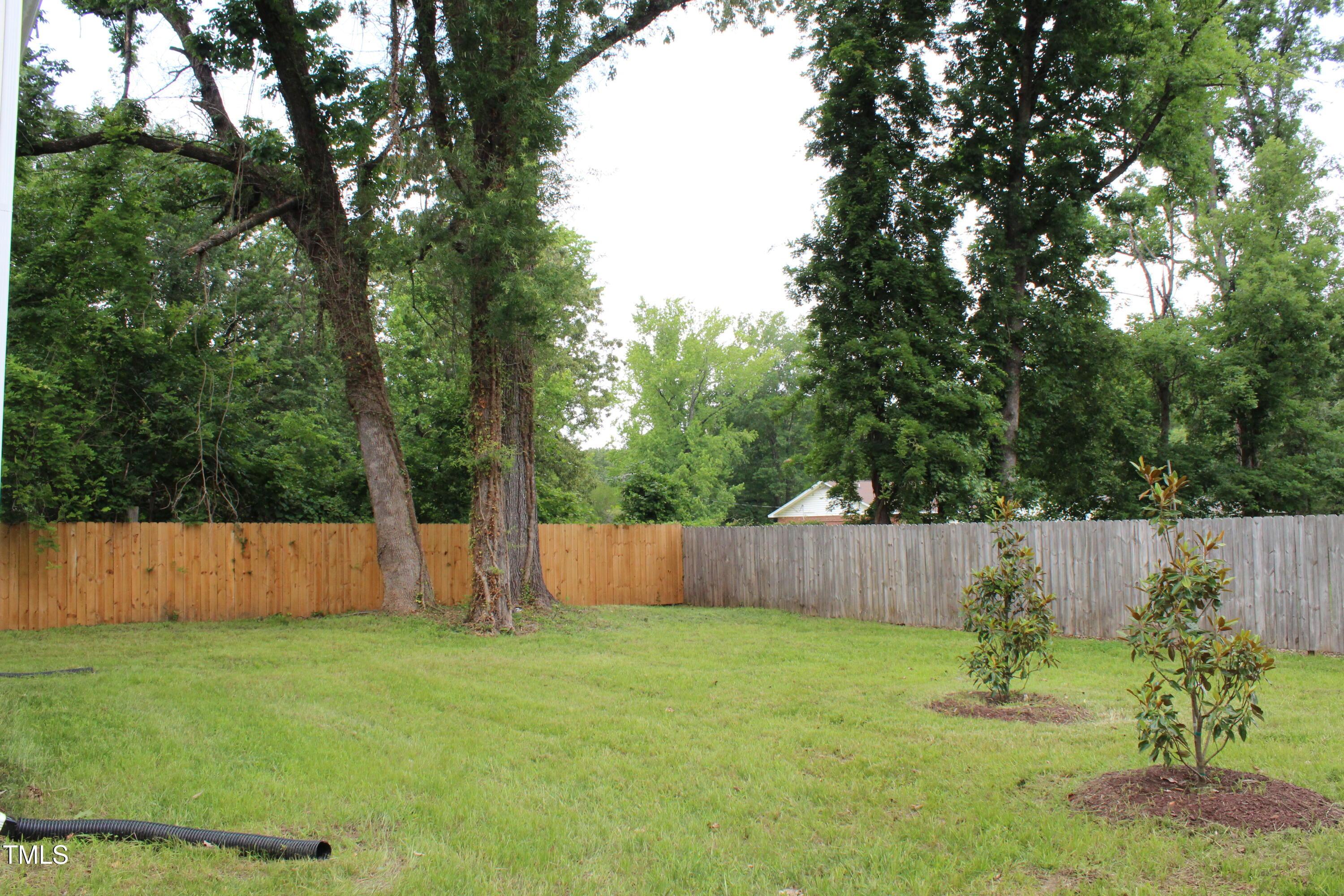 Photo #39