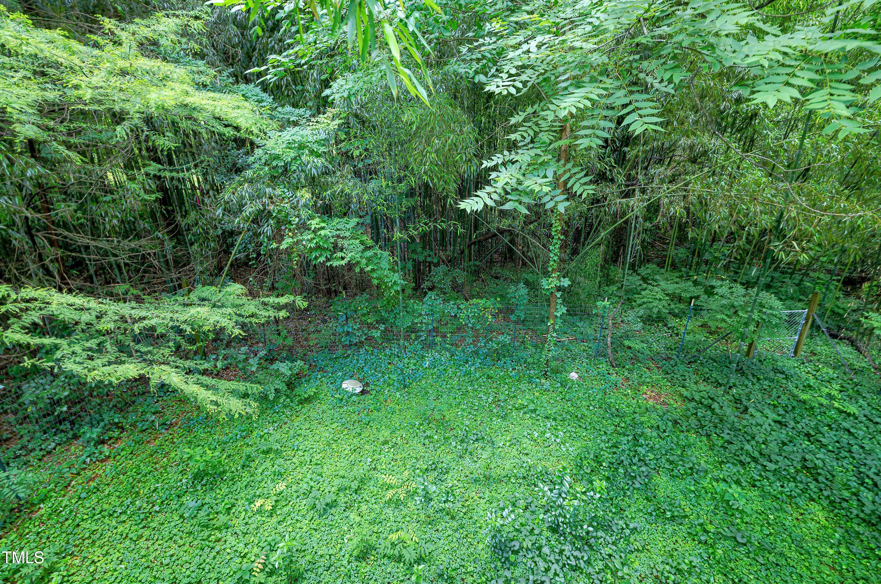 Photo #16