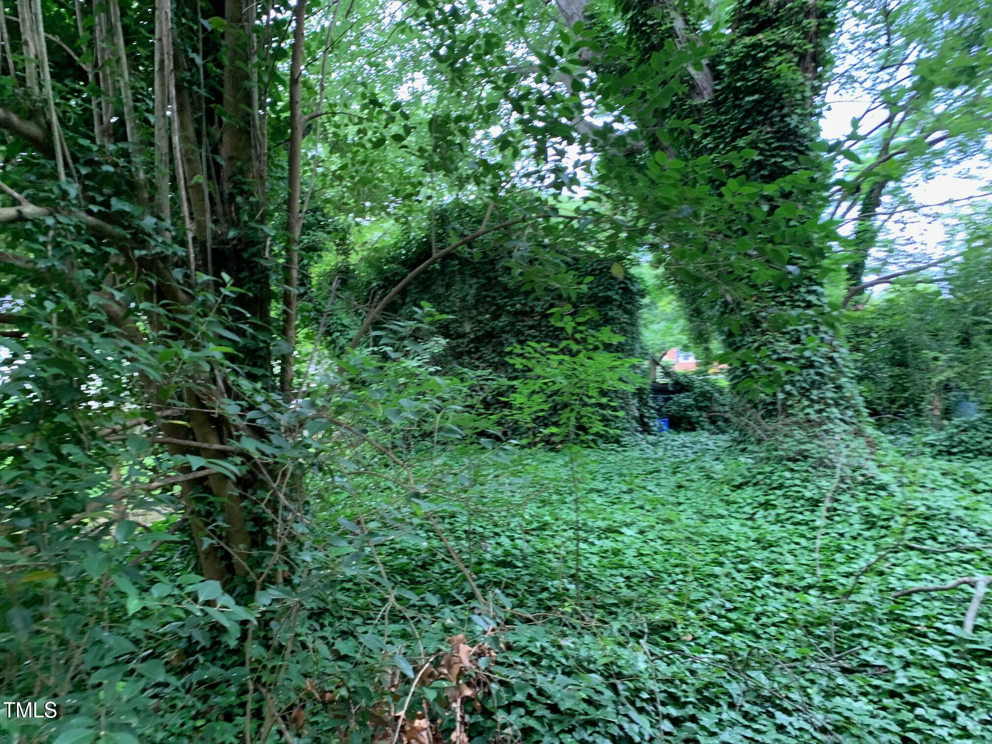Photo #23