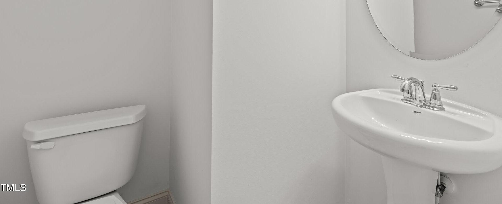 Photo #8