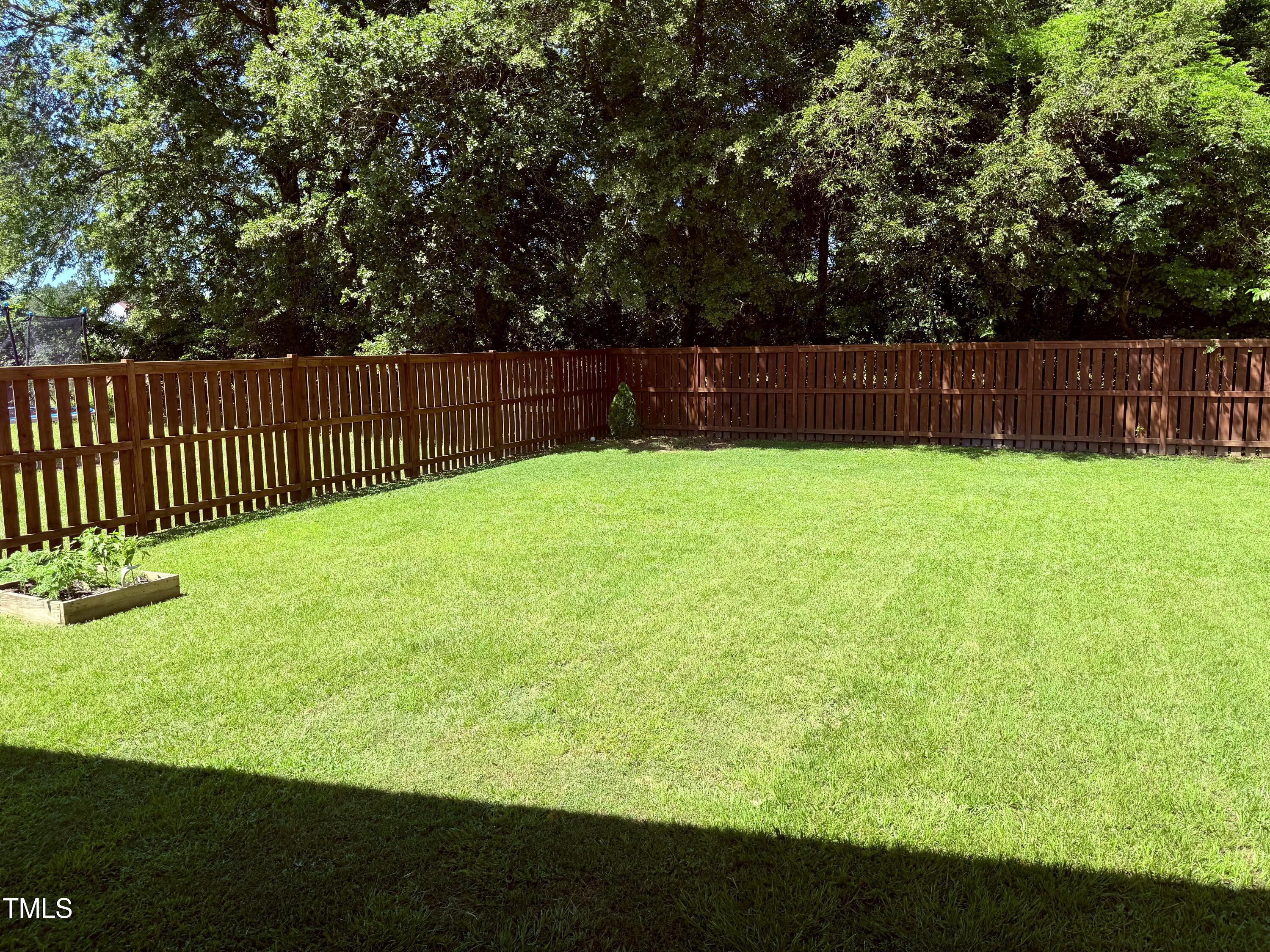 Photo #10