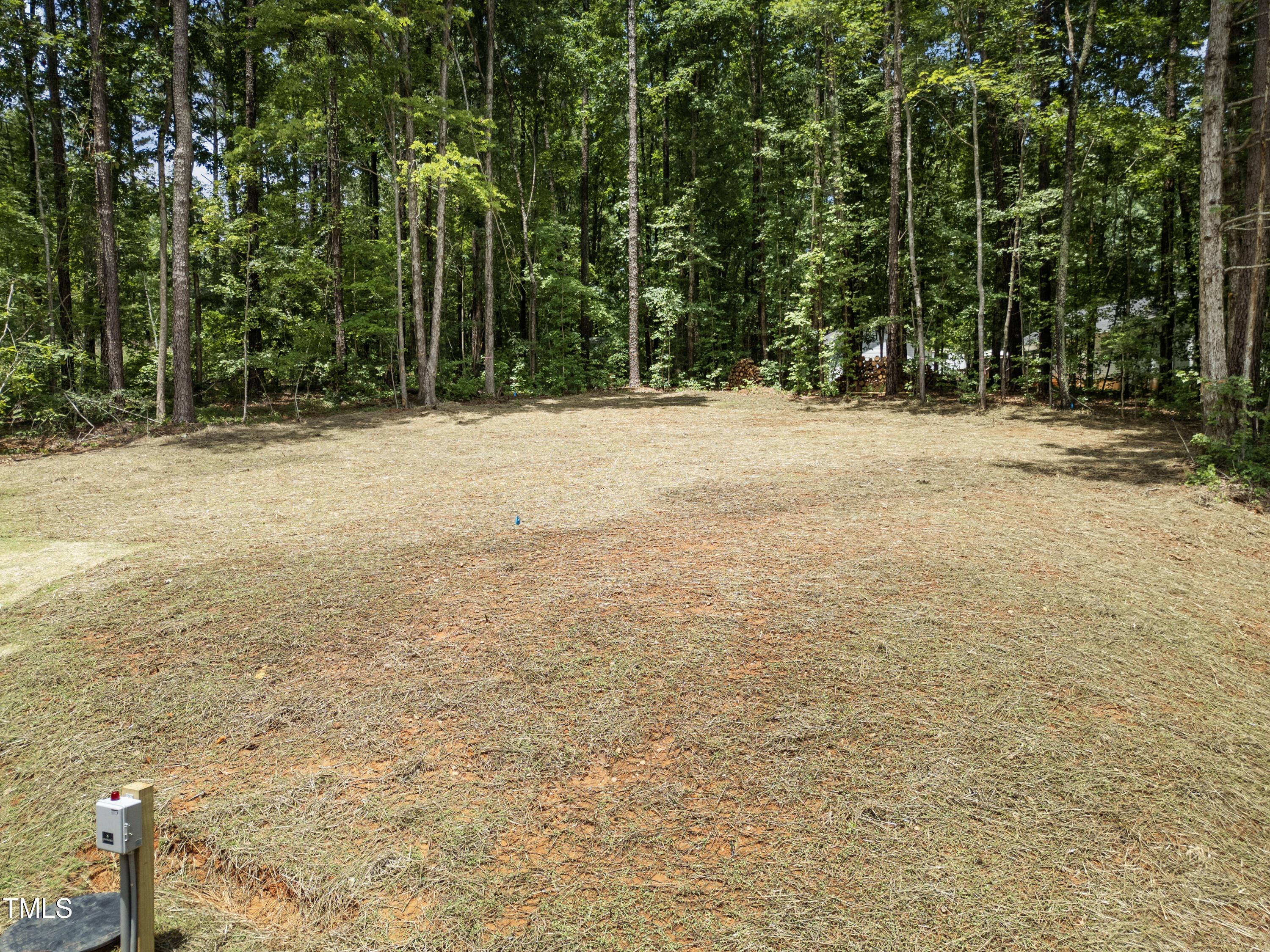 Photo #38