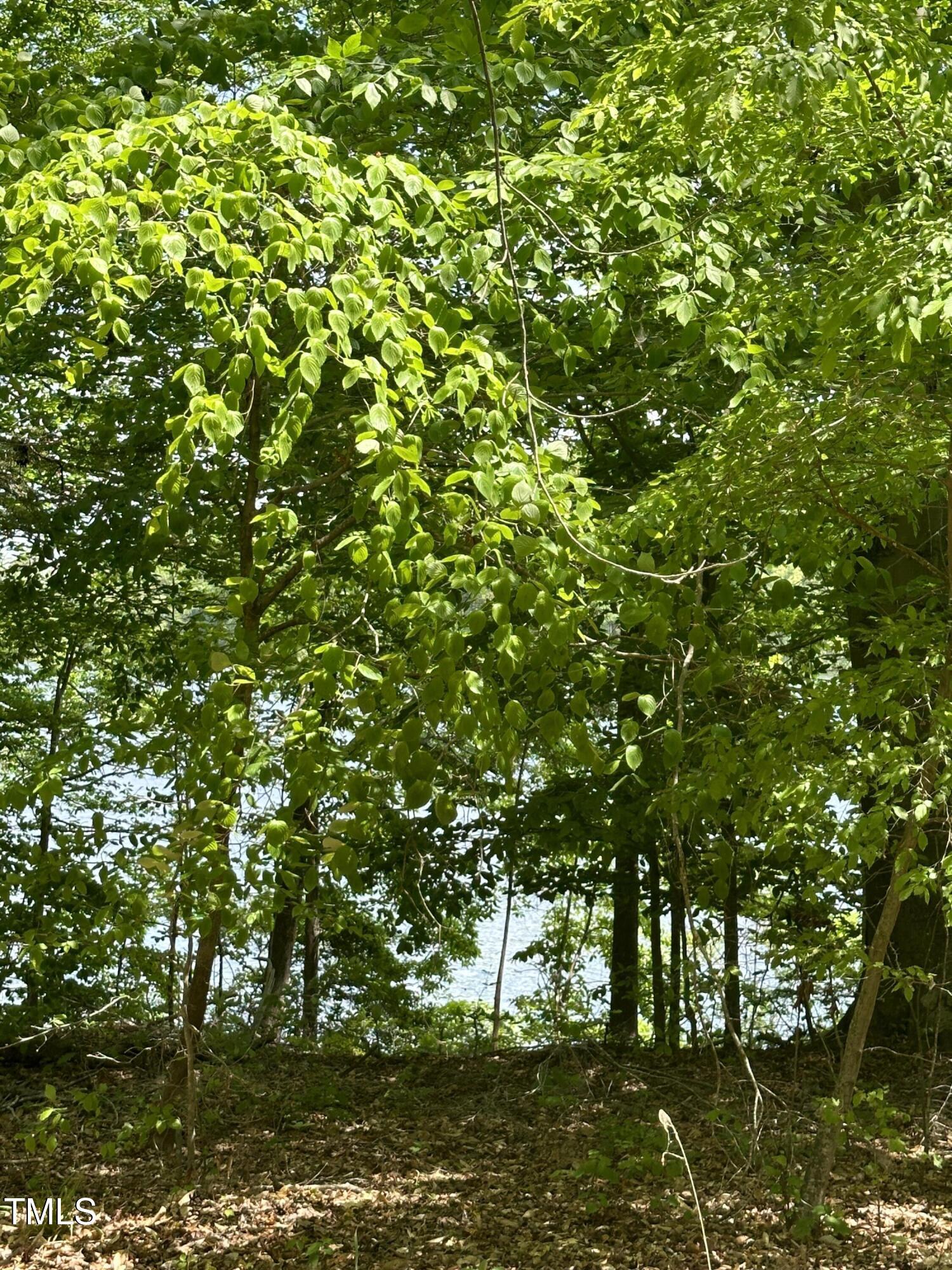 Photo #8