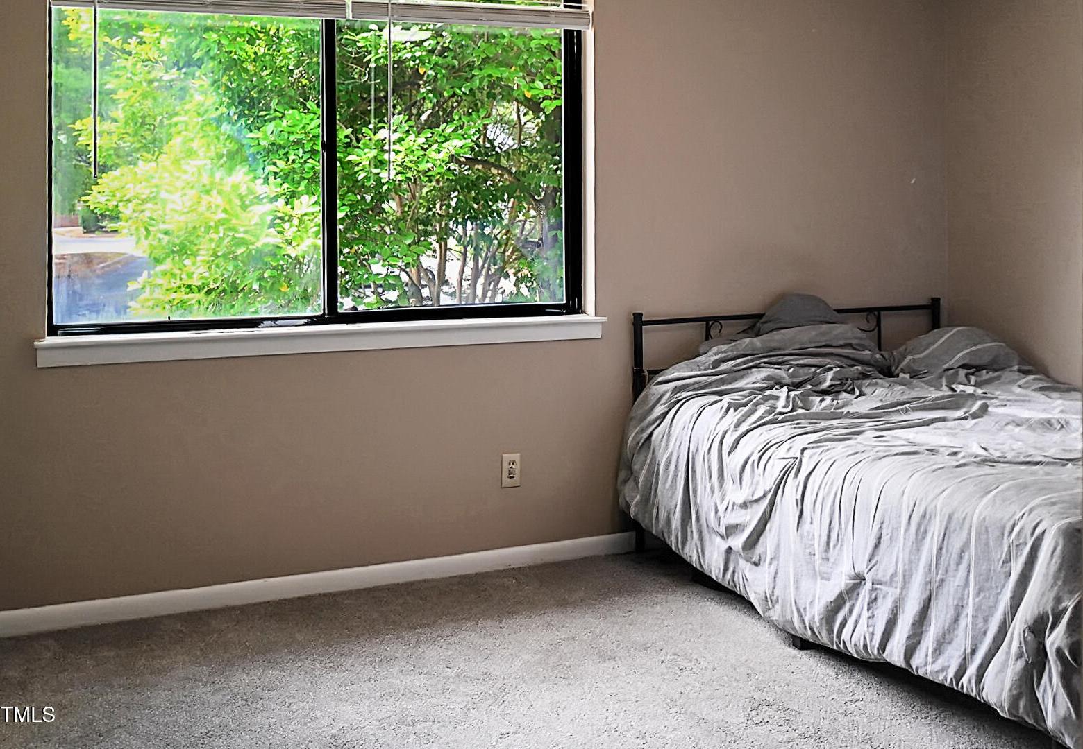 Photo #19