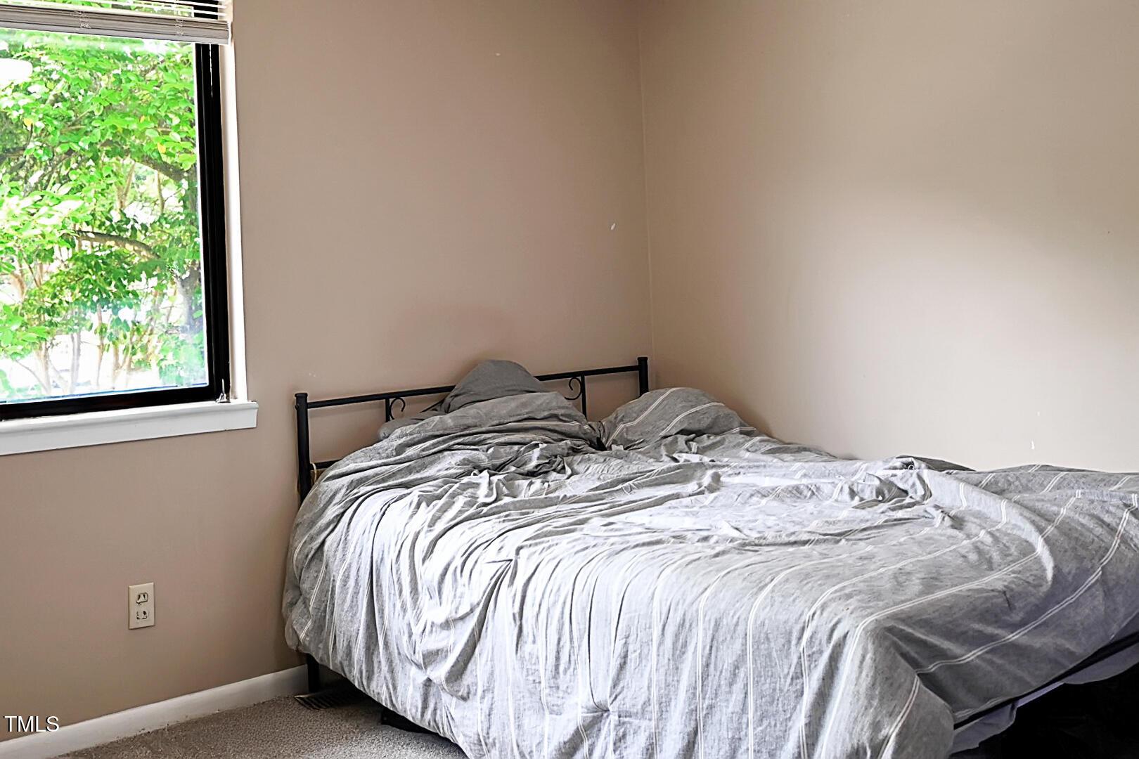 Photo #15