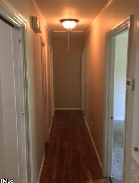 Photo #24