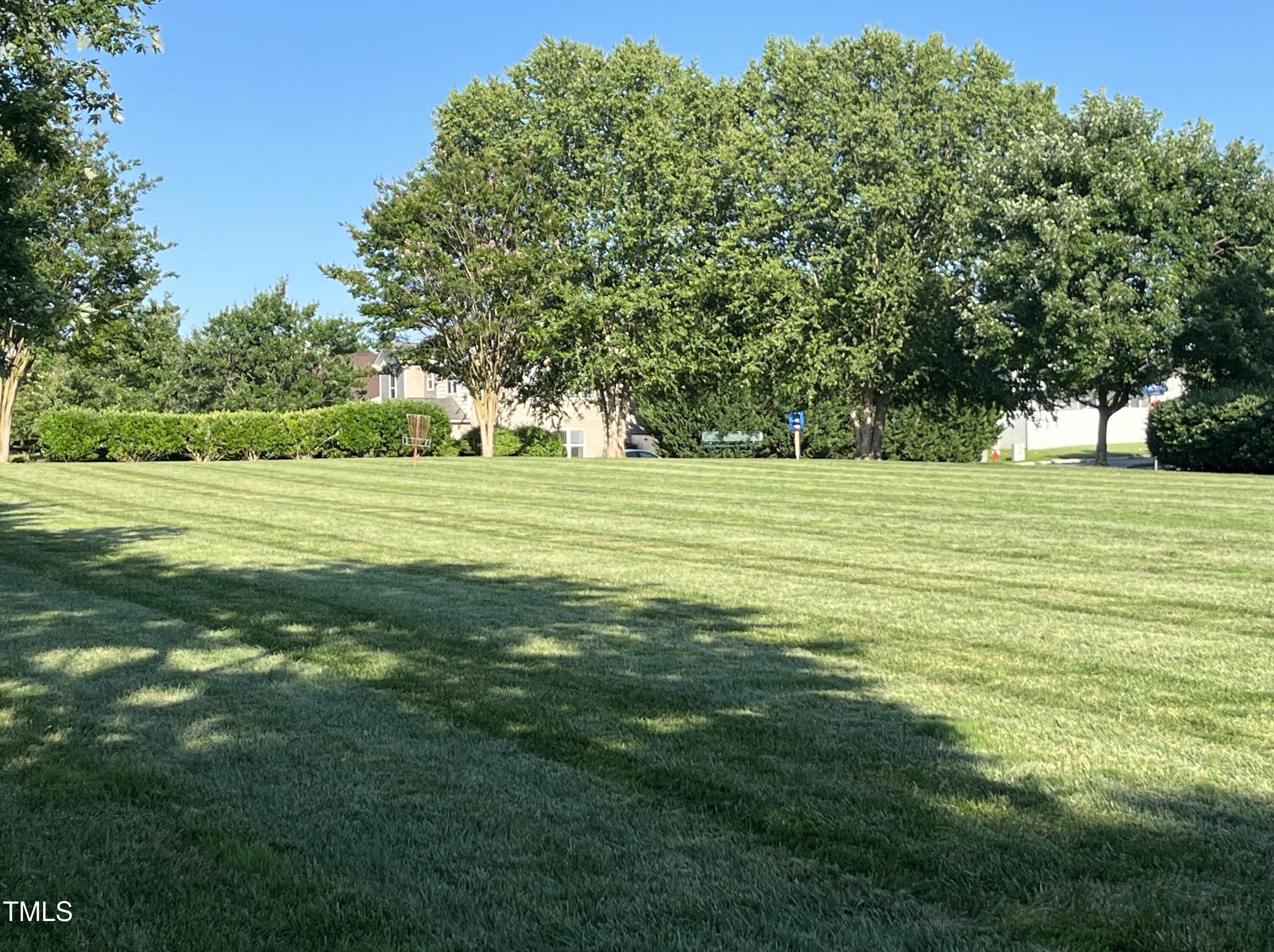 Photo #41
