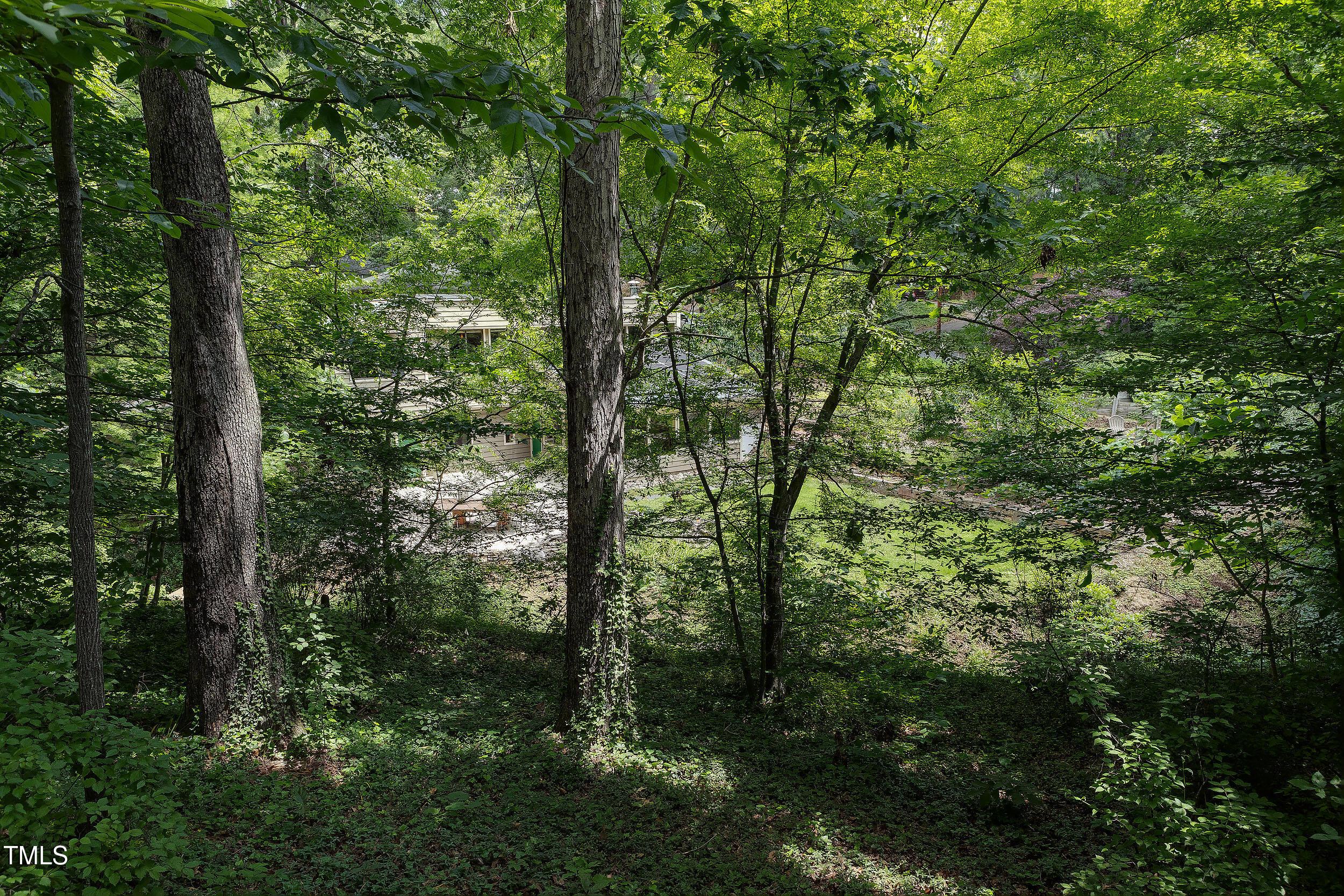 Photo #42
