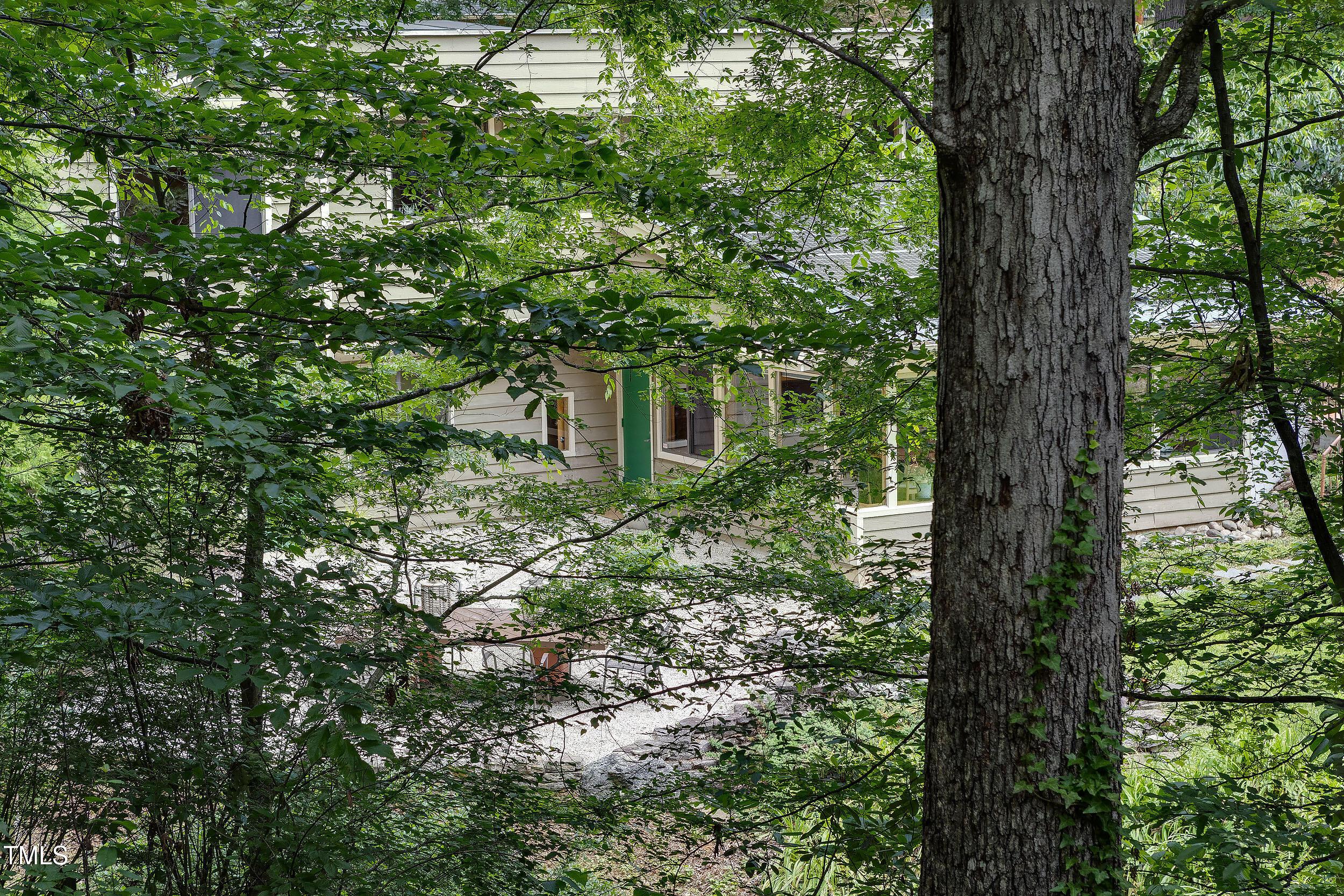 Photo #41