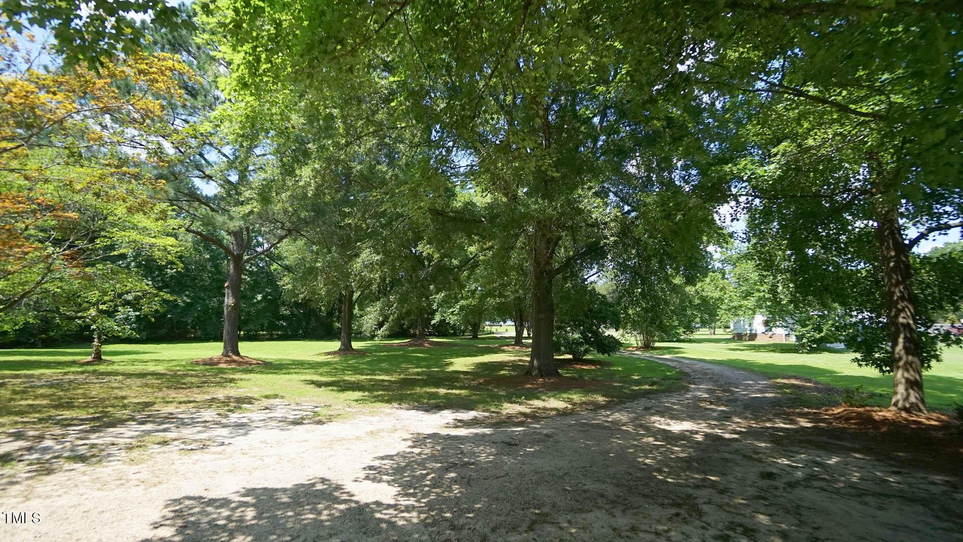 Photo #38