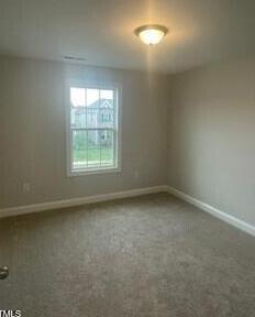 Photo #12