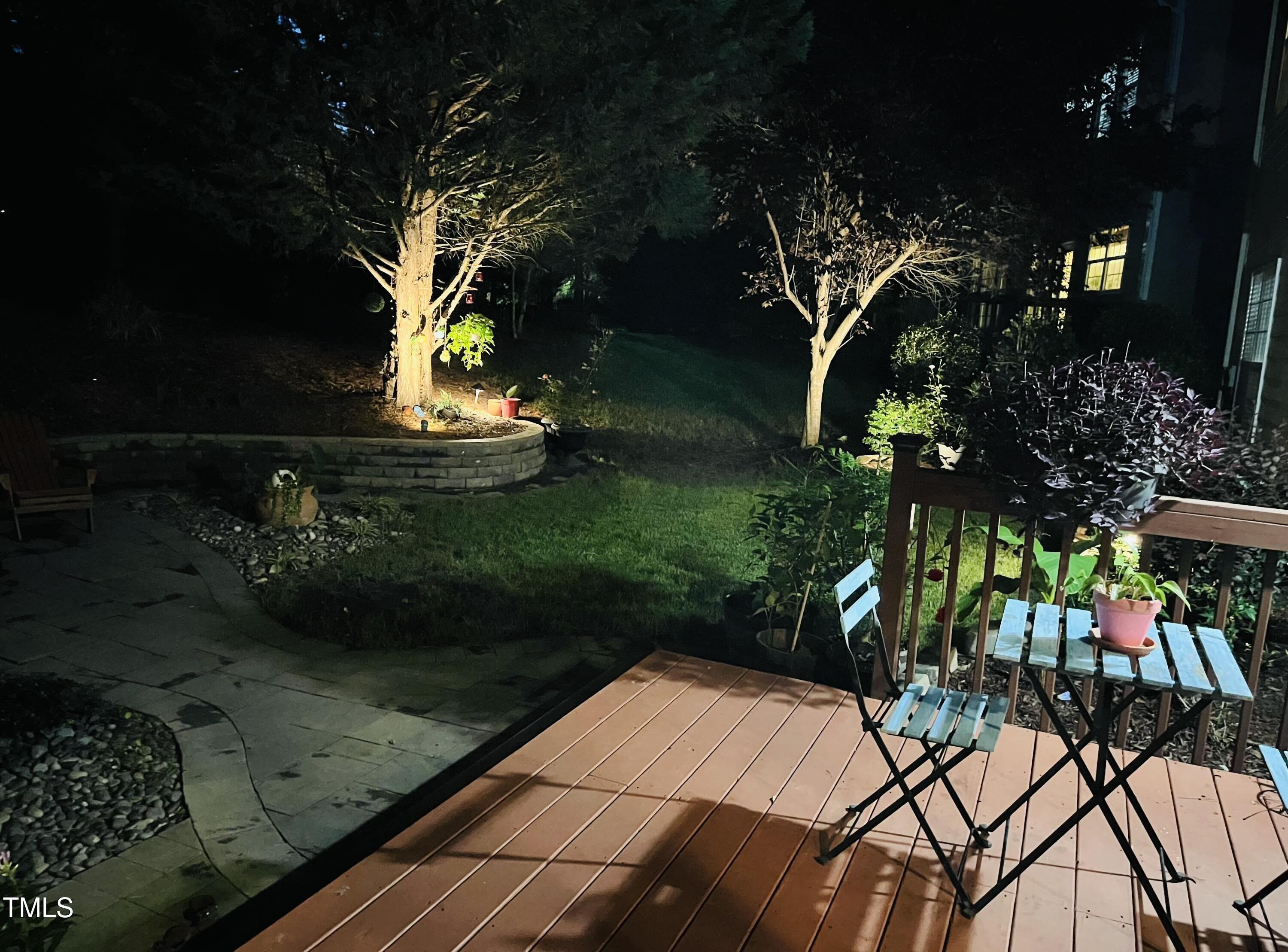 Photo #45