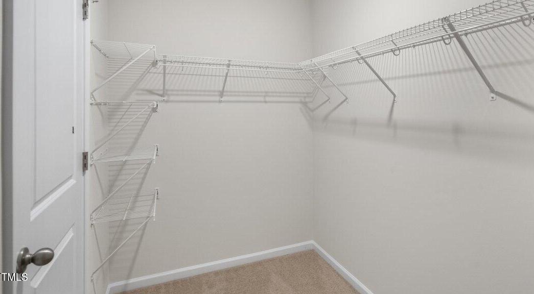 Photo #18