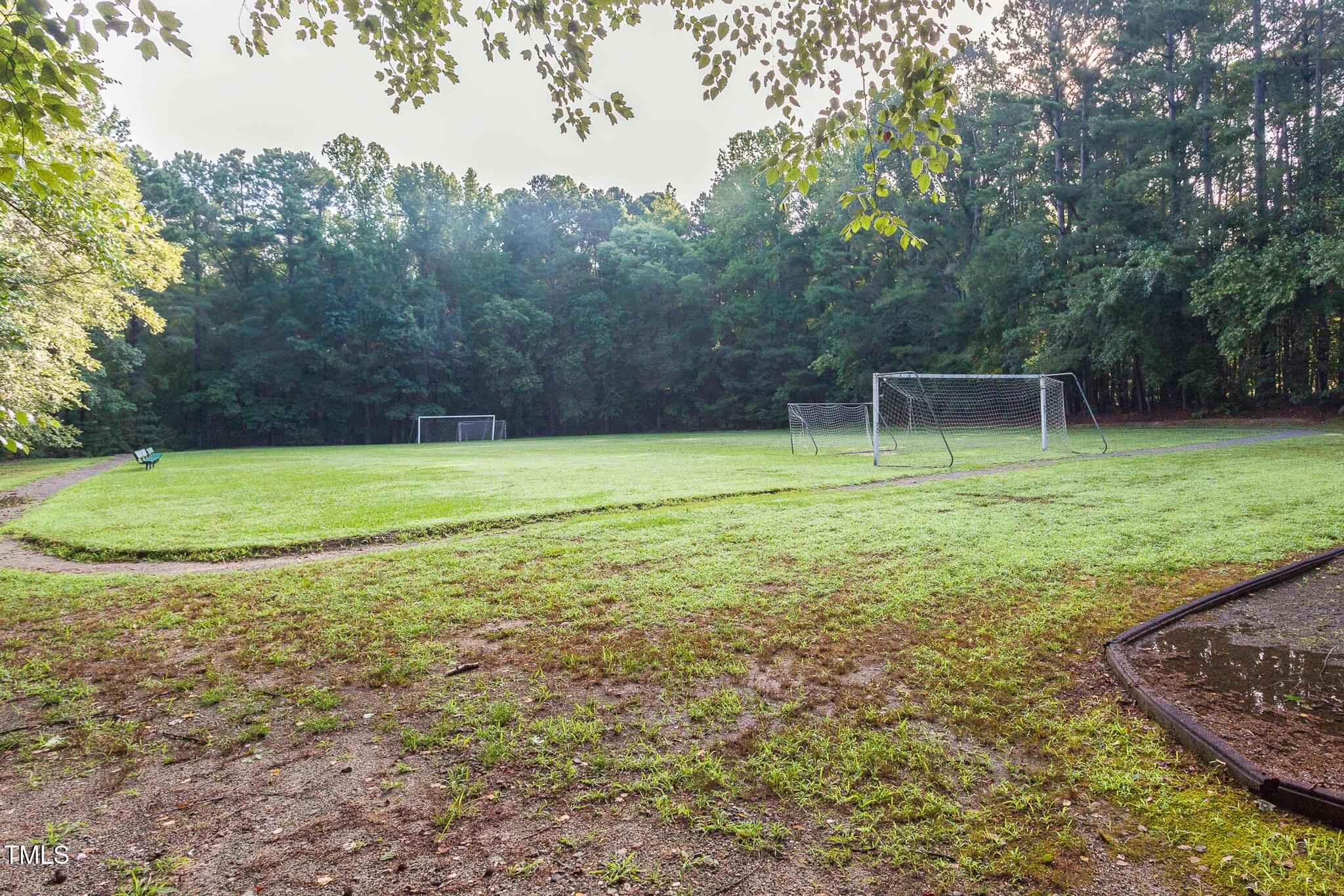 Photo #43