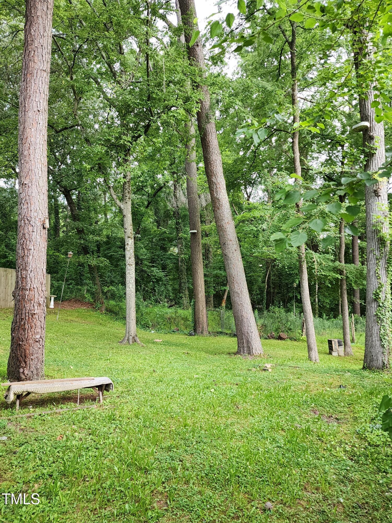 Photo #5