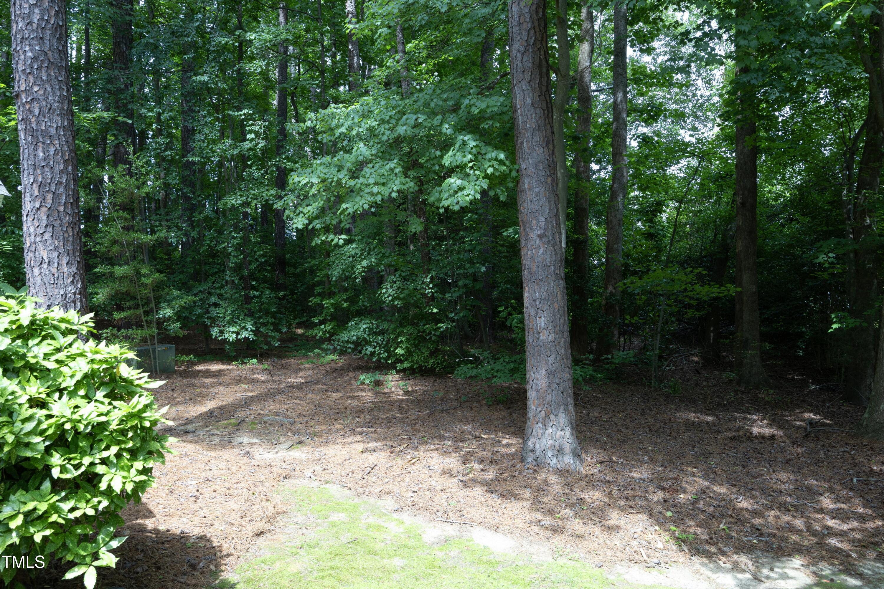 Photo #22