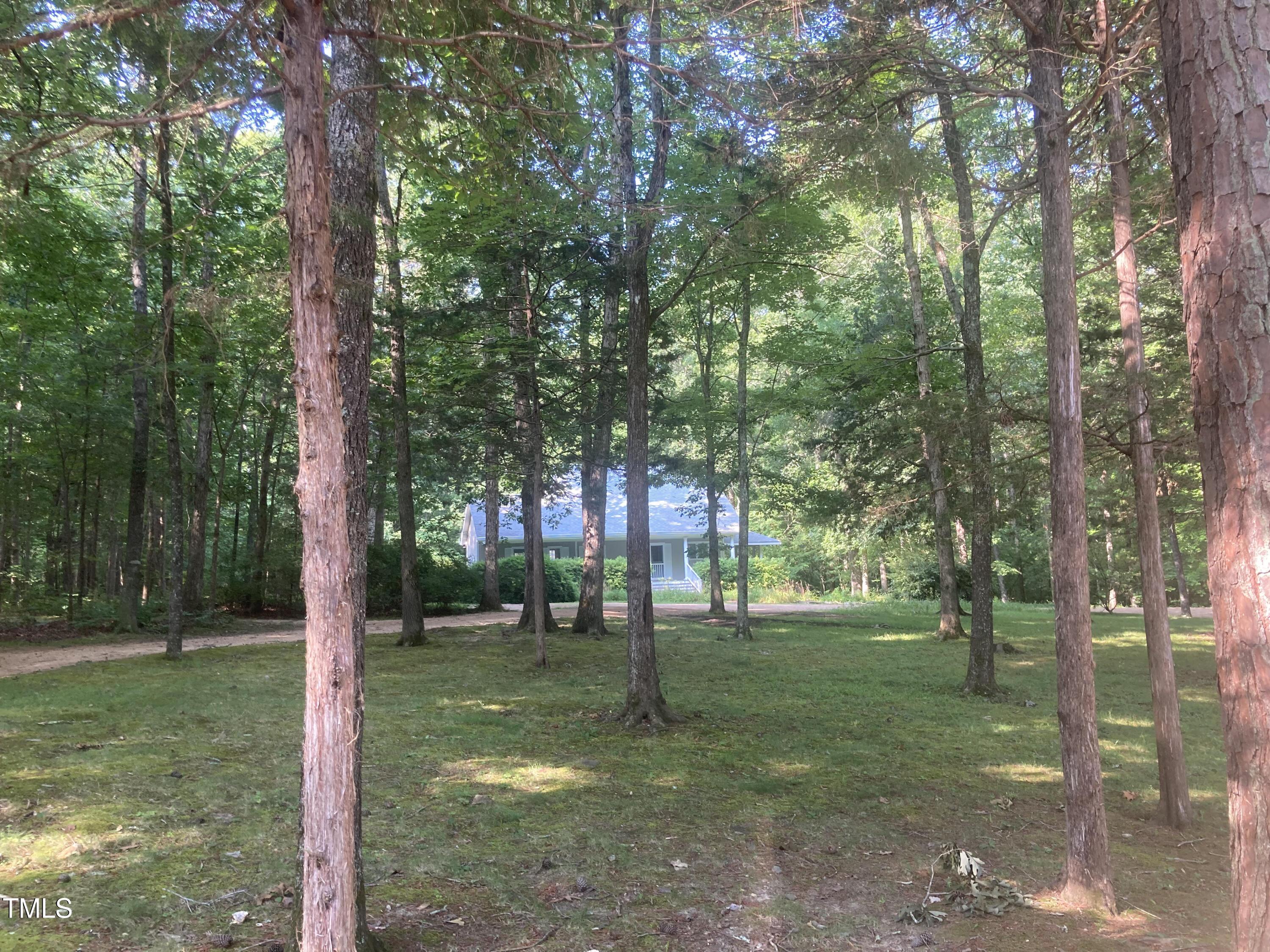 Photo #2