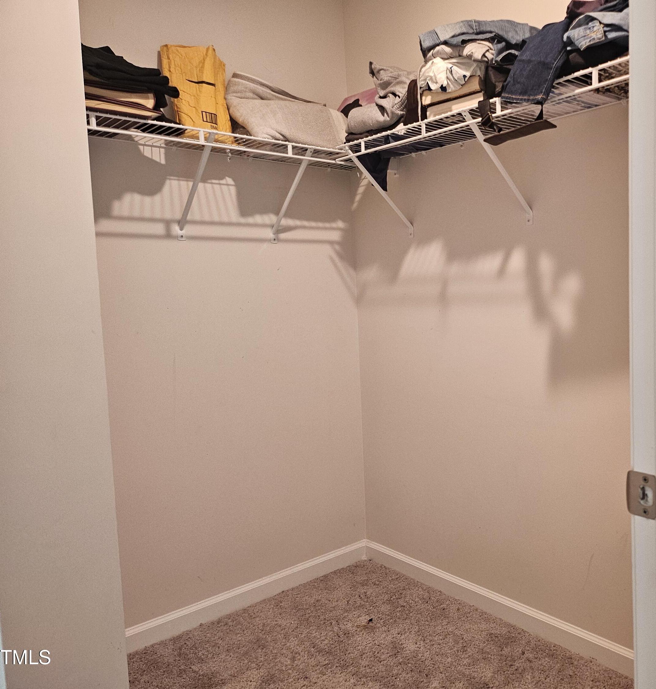 Photo #46