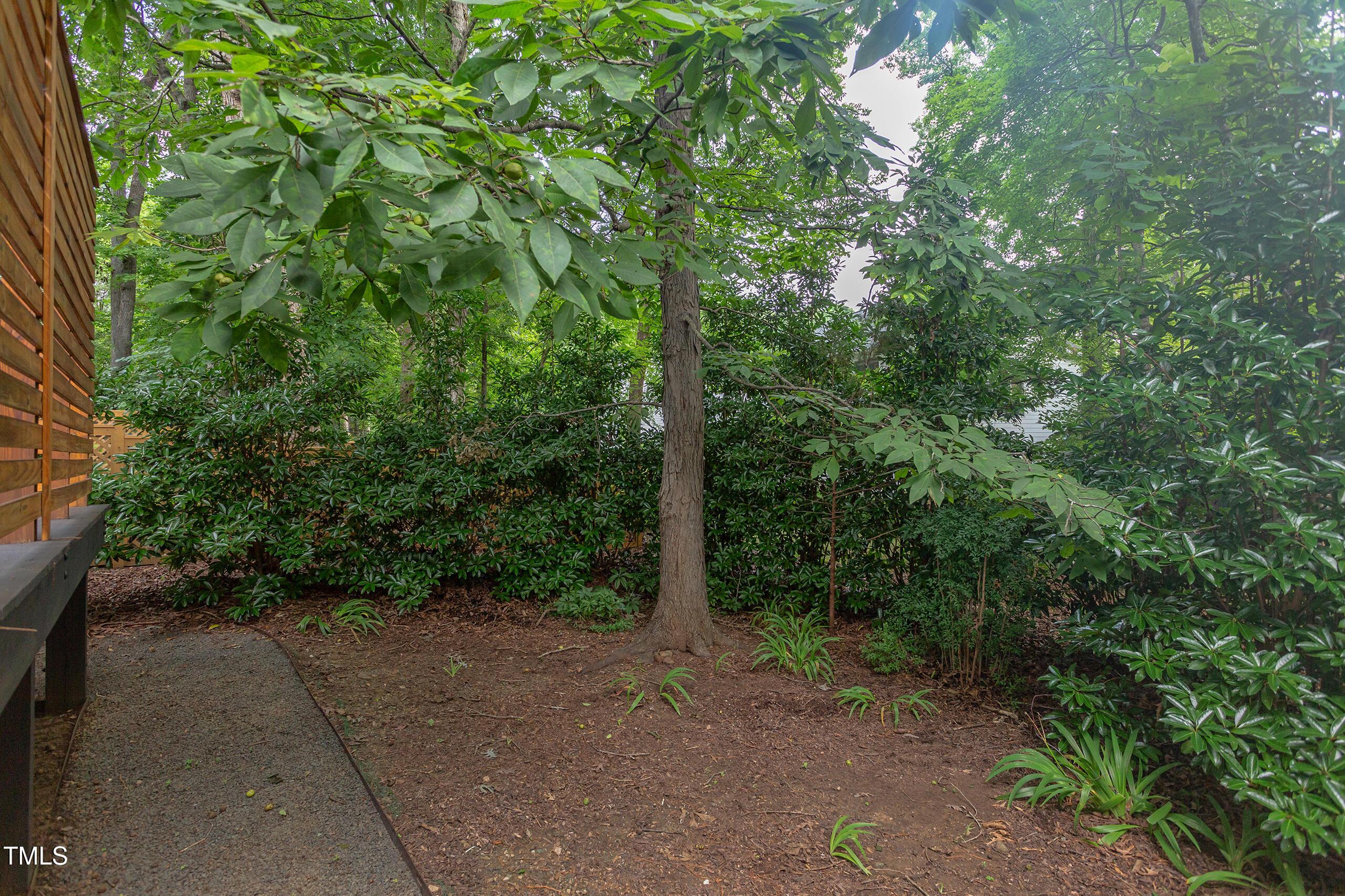 Photo #44