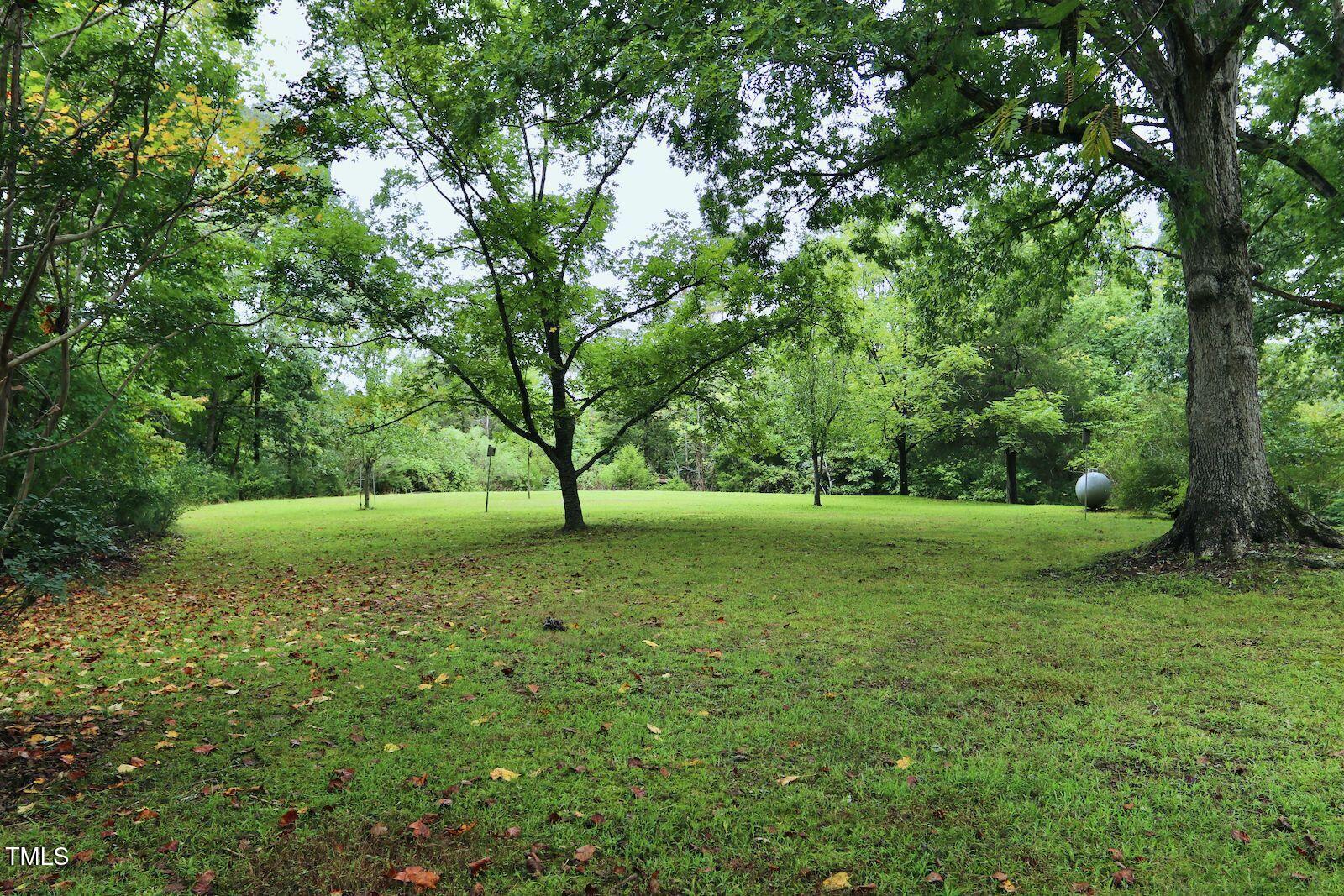 Photo #32