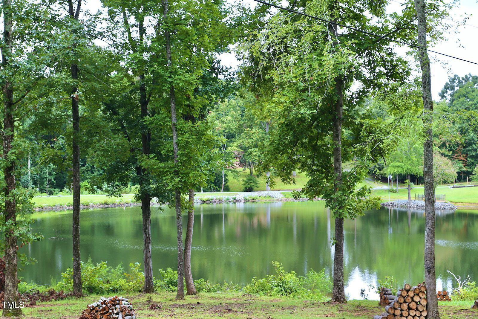 Photo #39