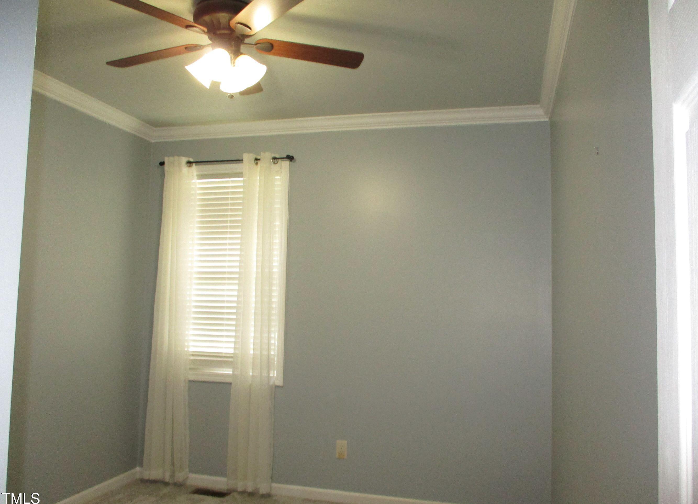 Photo #12