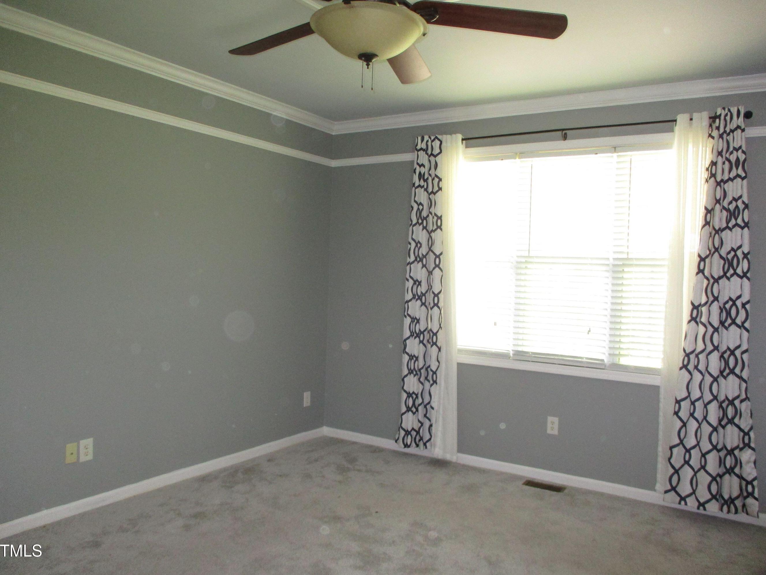 Photo #8