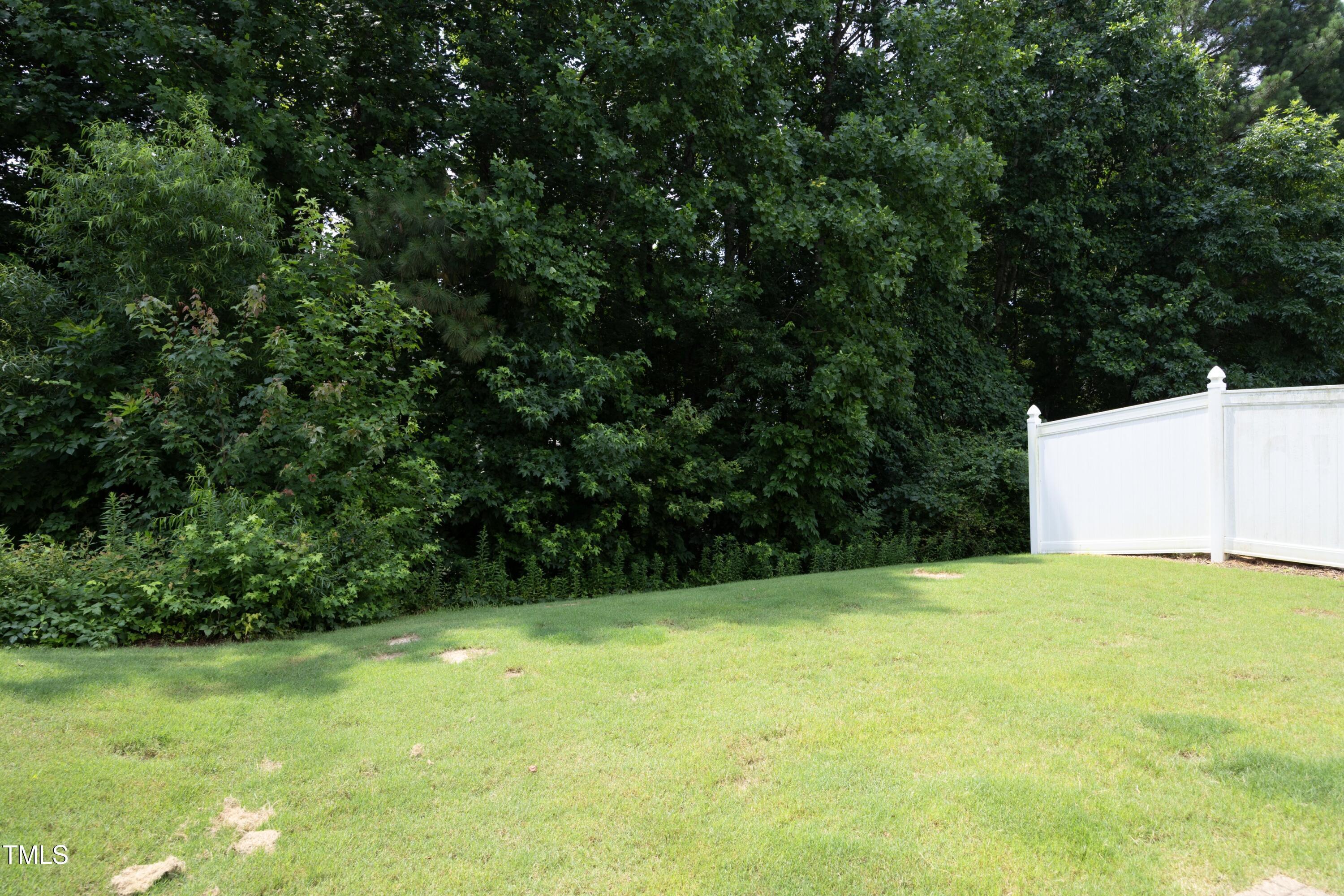 Photo #34
