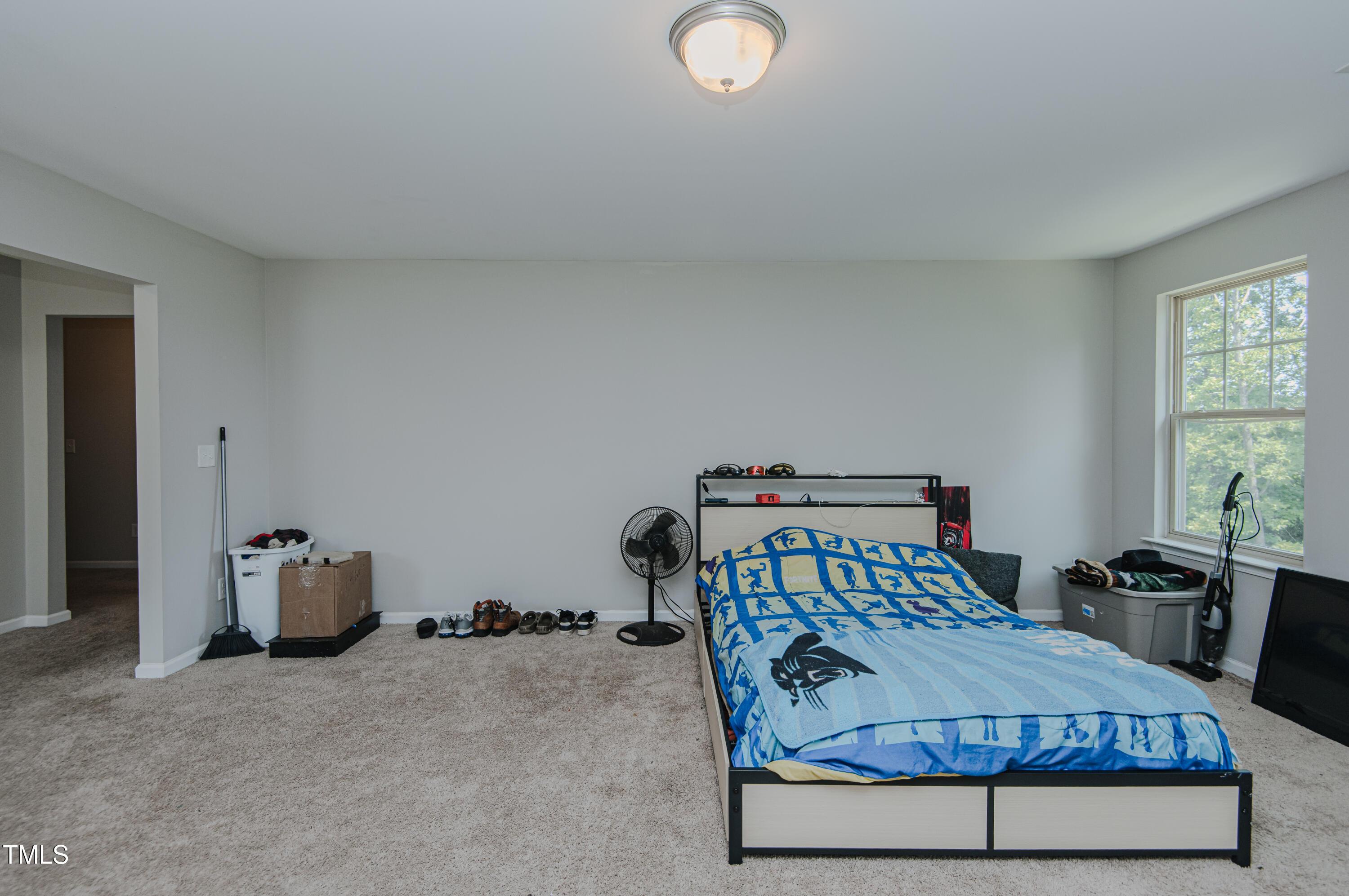 Photo #31