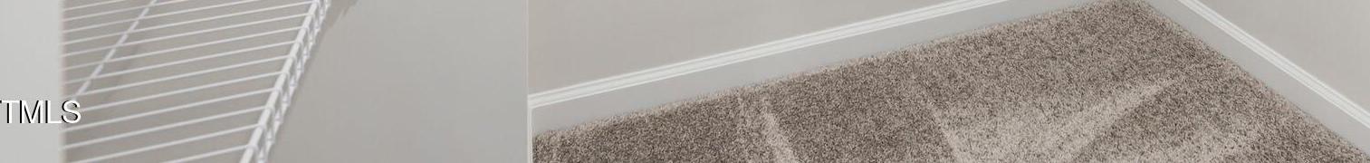 Photo #11