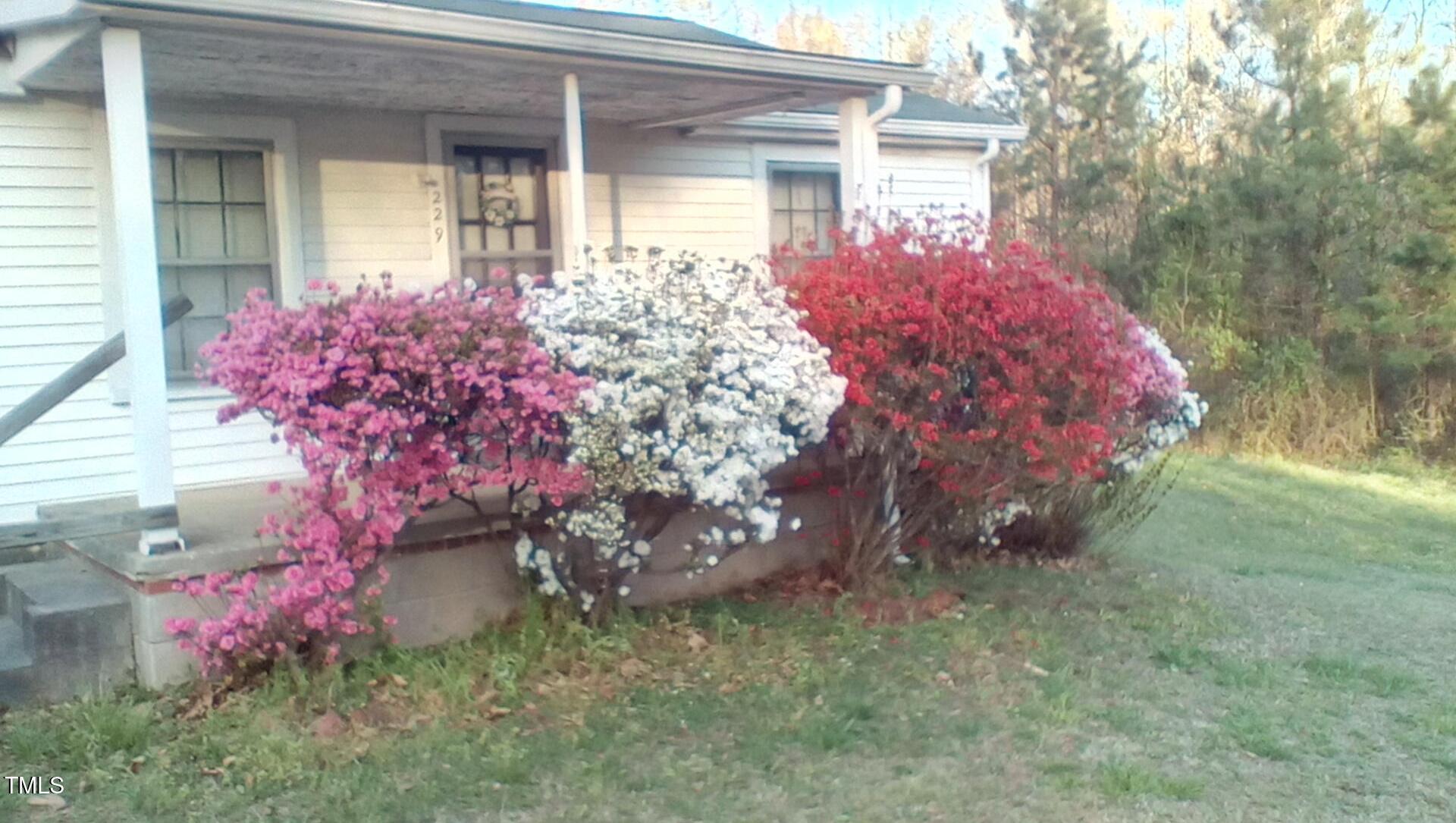 Photo #18