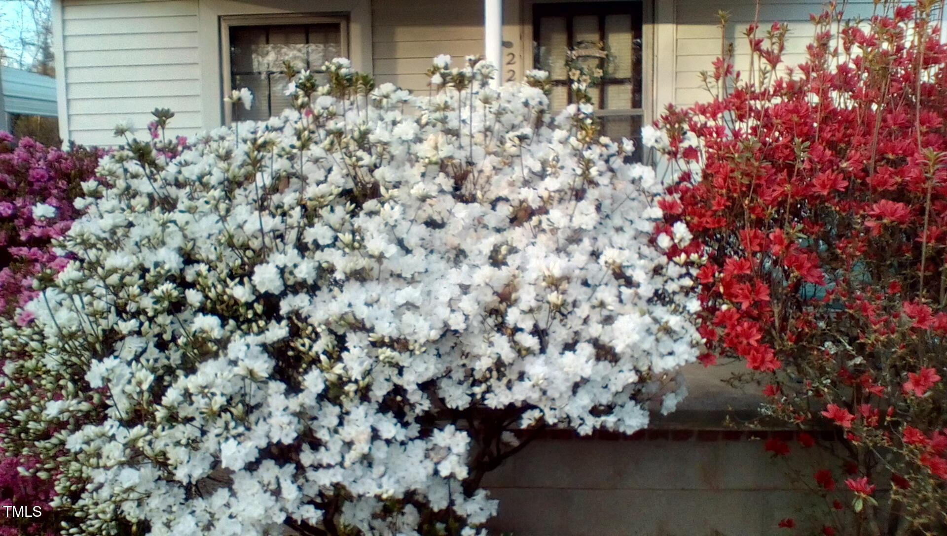 Photo #17