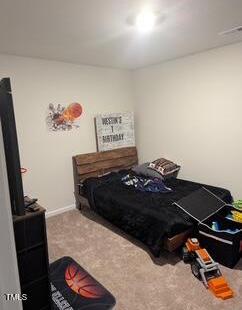 Photo #8