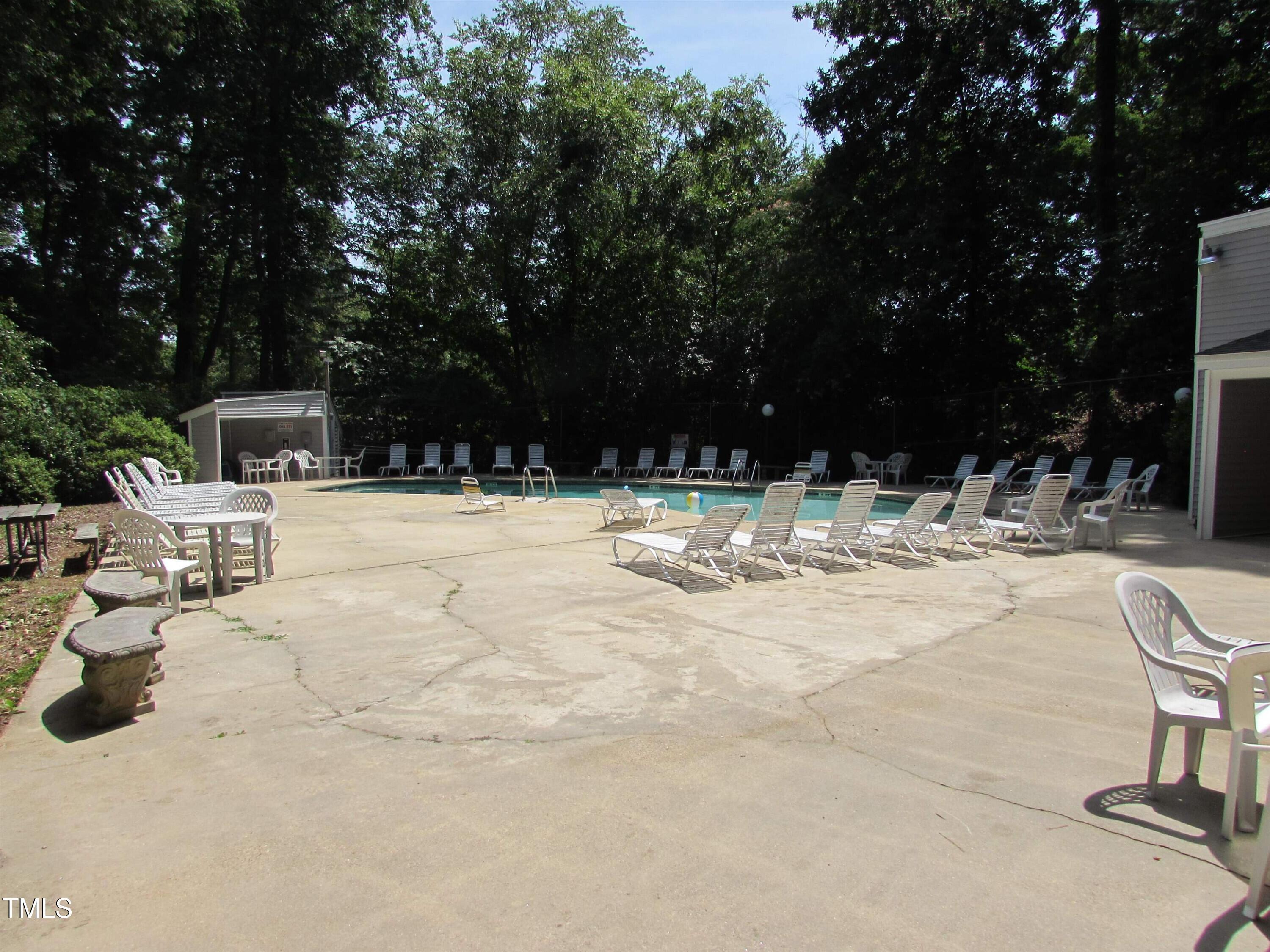 Photo #41