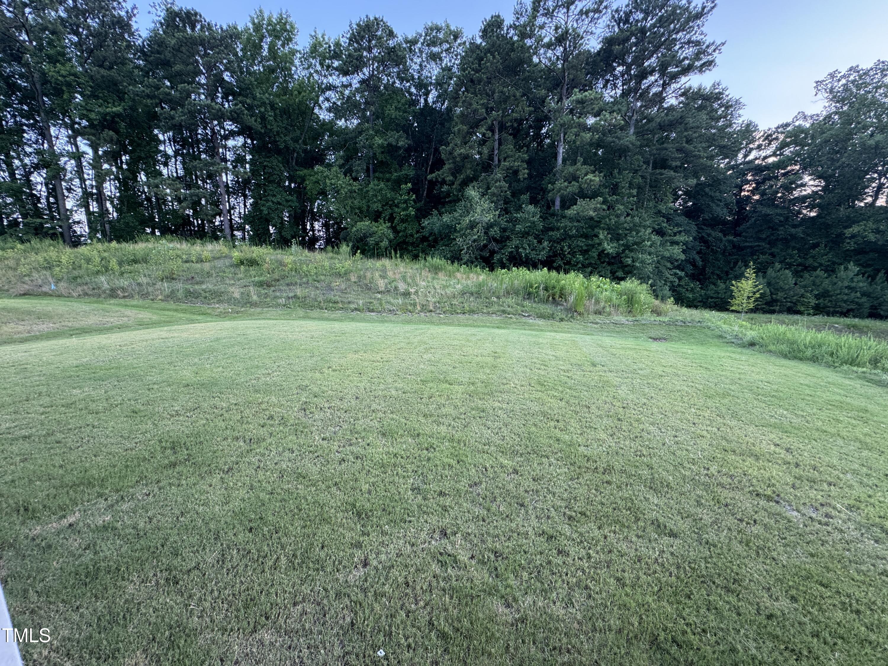 Photo #24