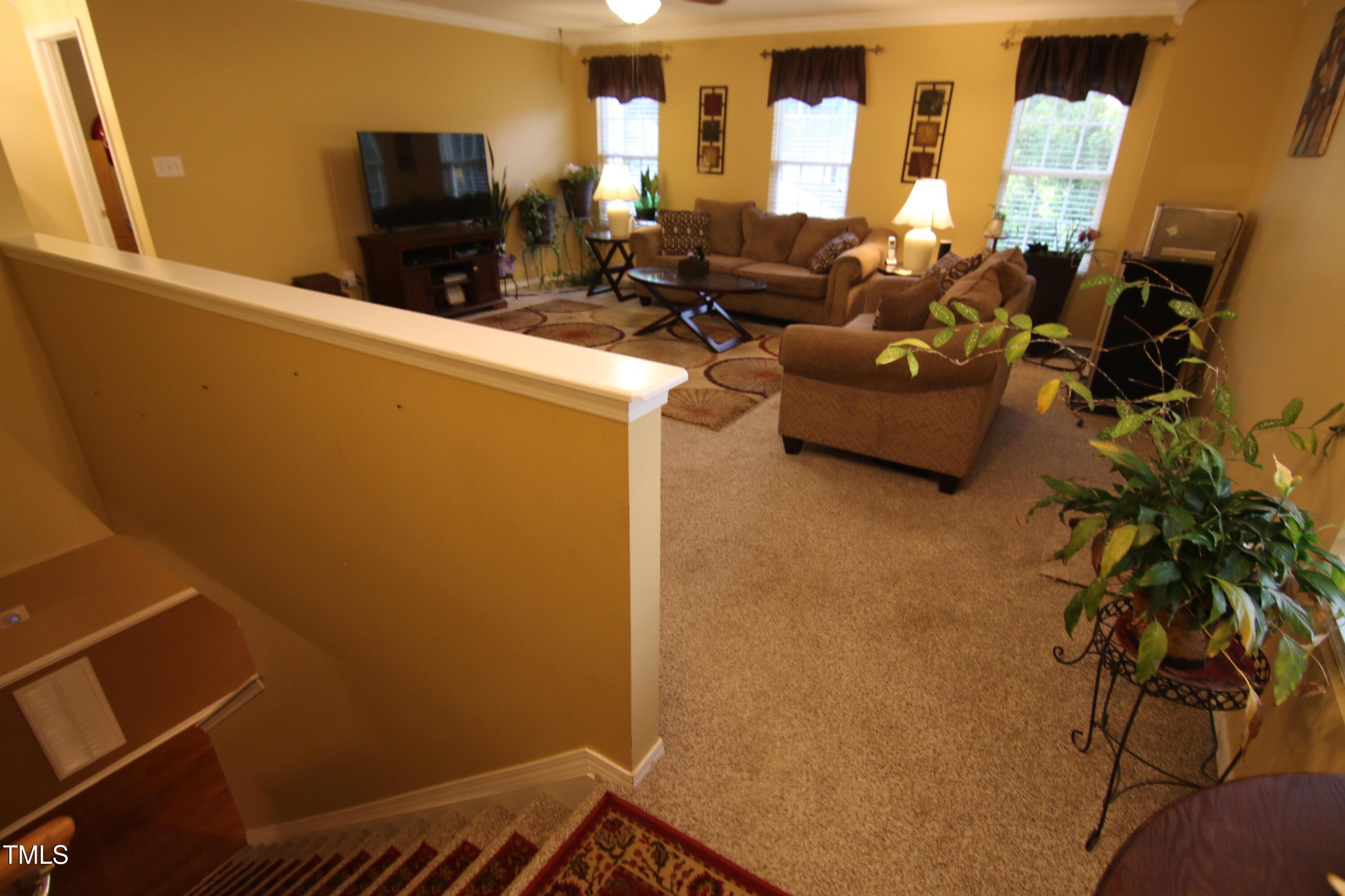 Photo #19
