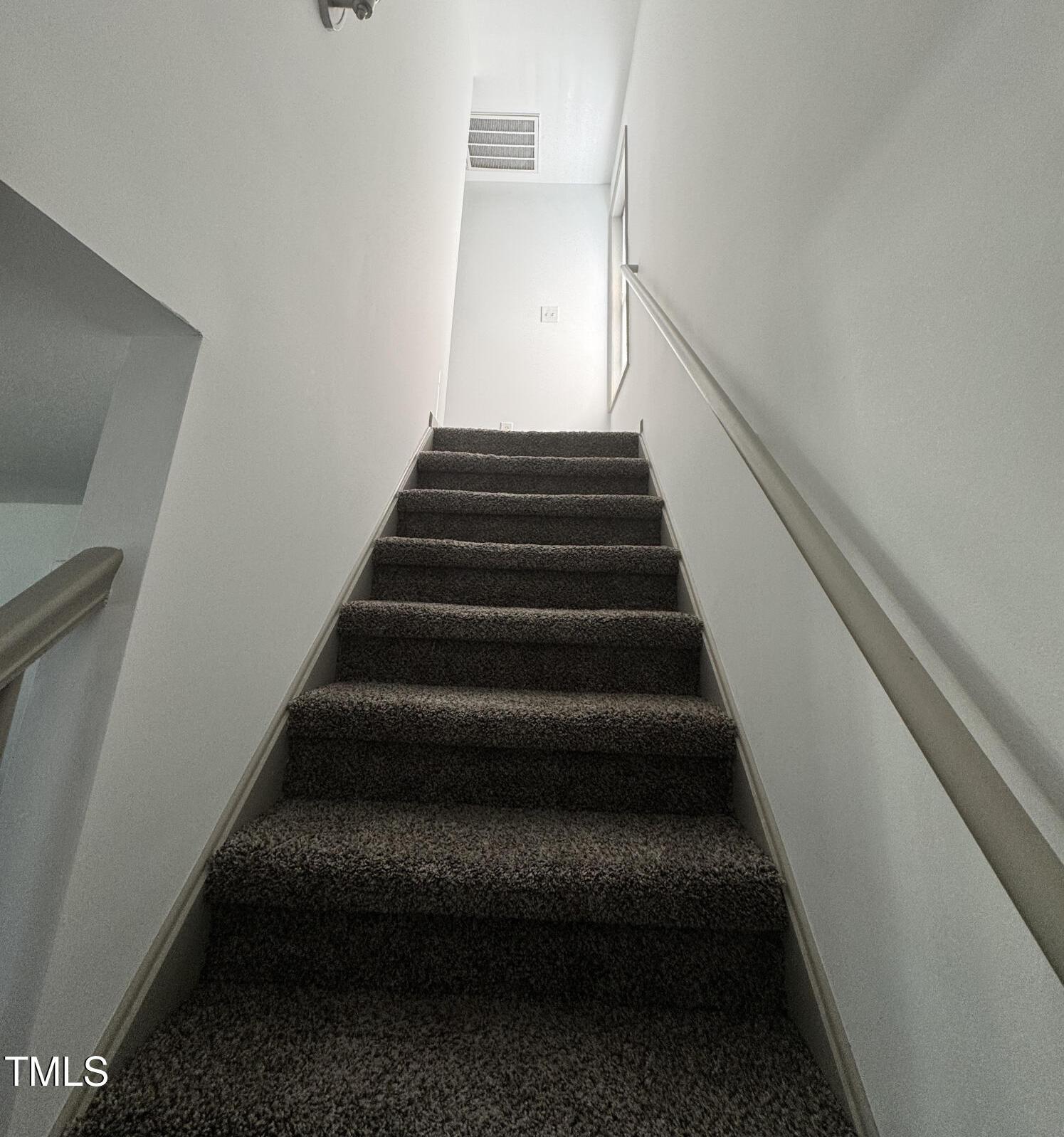 Photo #11