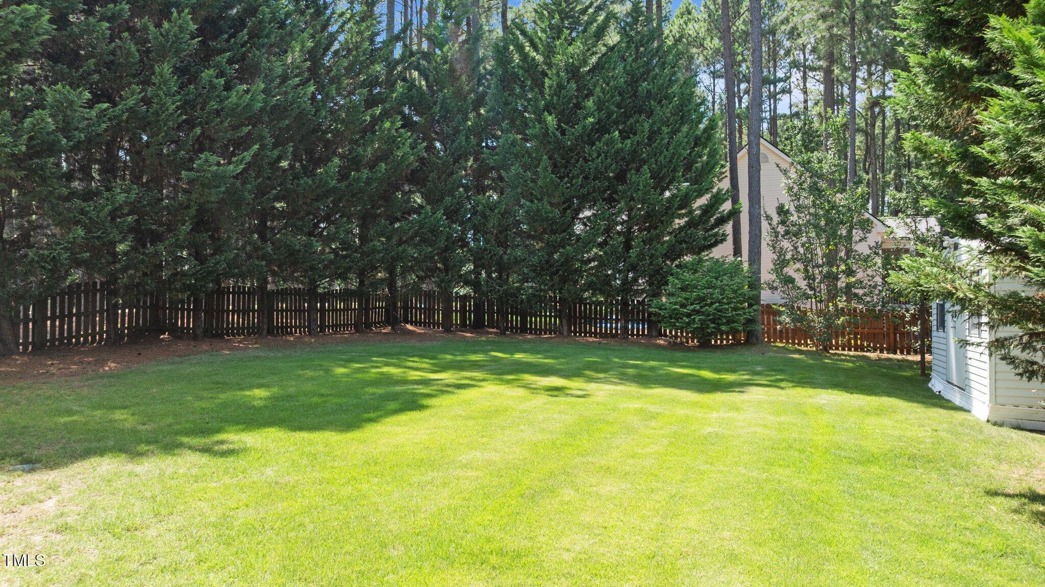 Photo #46