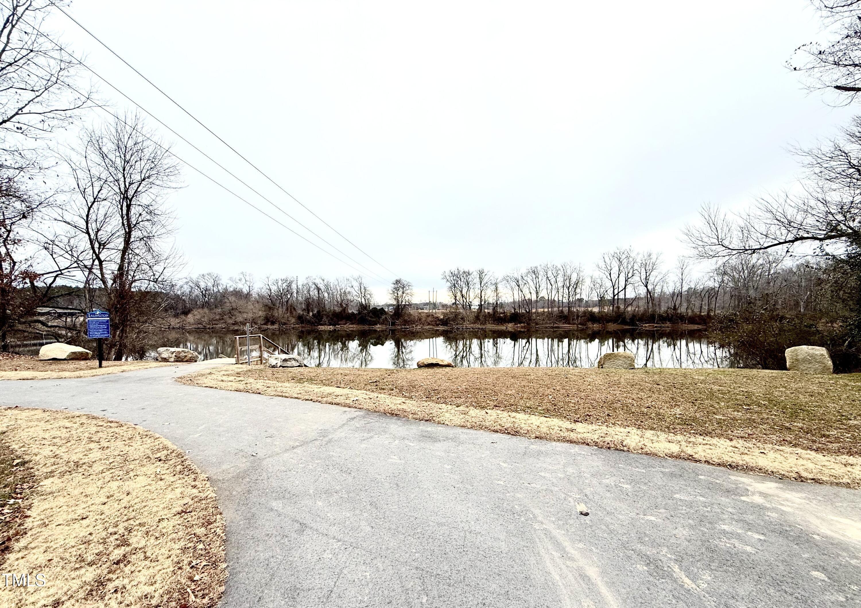 Photo #42