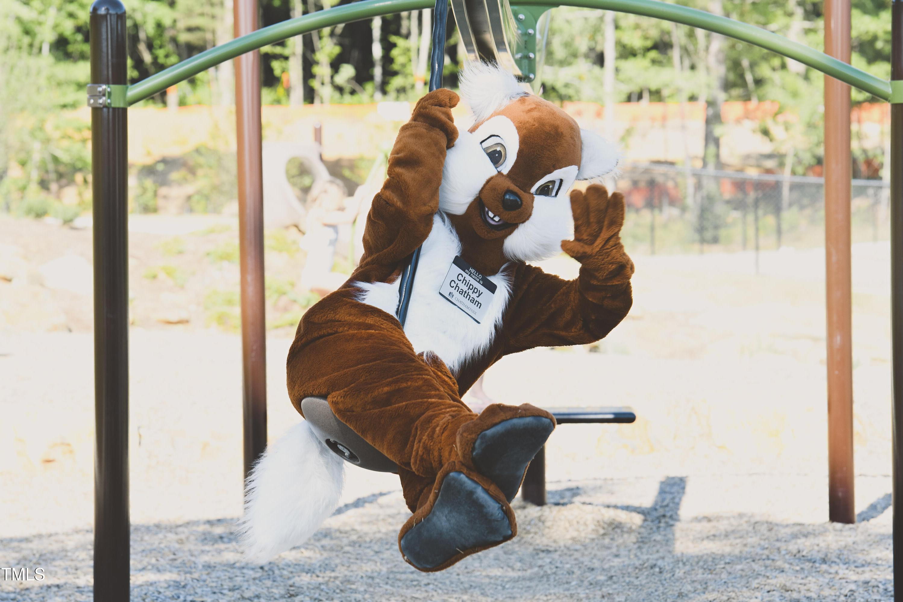 Photo #83