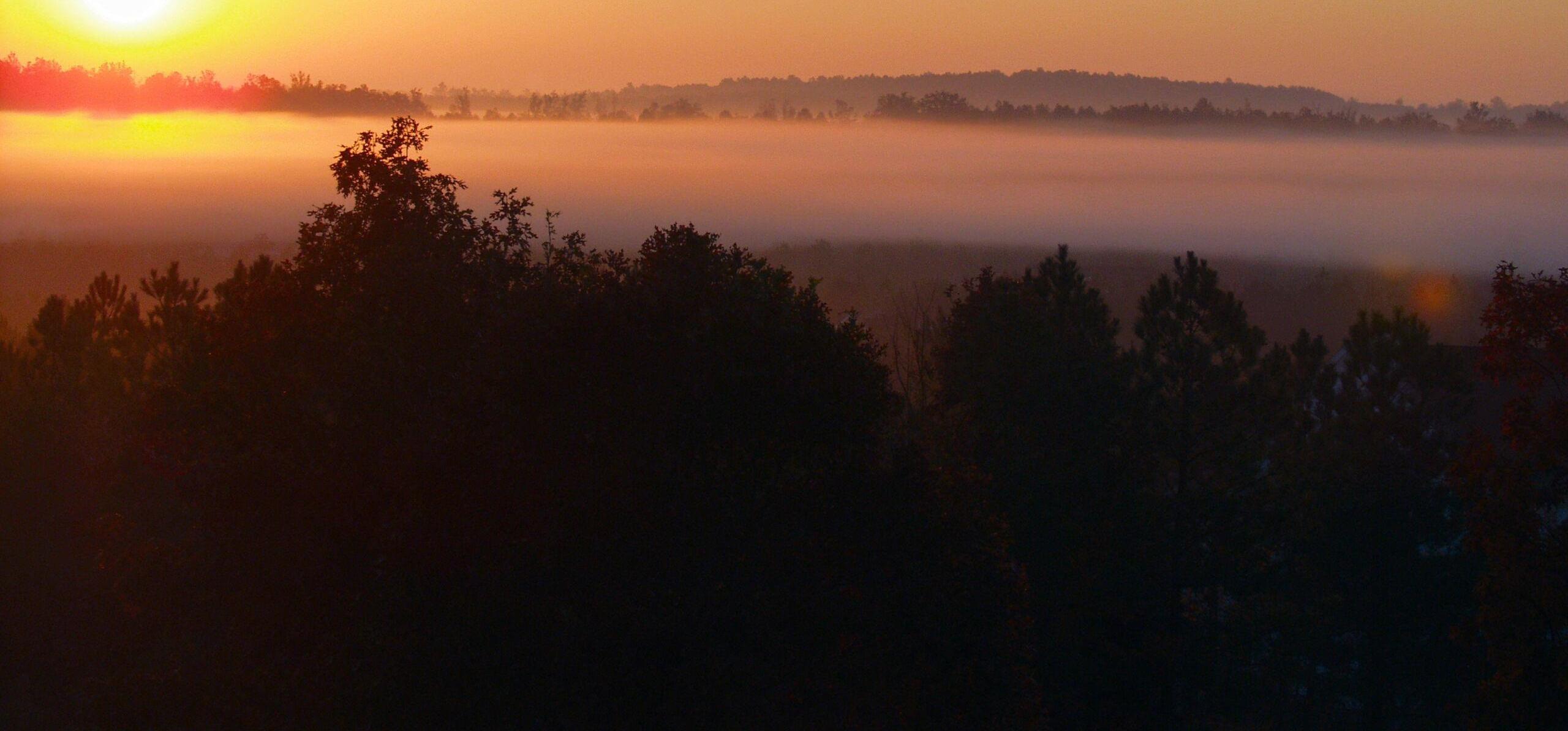 Photo #11