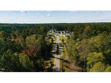 An aerial view of homes nestled in a lush, green, planned community at 4804 Parker Meadow Dr, Raleigh, NC 27614