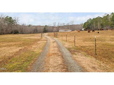 Gravel driveway leads to a ranch-style house, grazing cows, and a barn on a picturesque lot at 6001 Rock Bottom Rd, Oxford, NC 27565