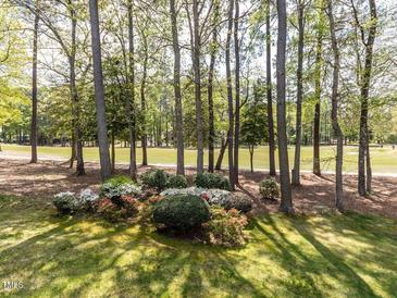 Scenic golf course view featuring lush greenery, mature trees, and manicured landscaping at 222 Kelso Ct, Cary, NC 27511