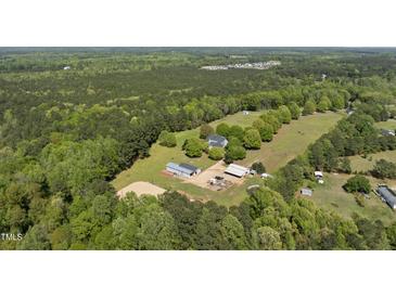Expansive aerial view of the property with lush greenery, showcasing the house and outbuildings at 220 Jordan Narron Rd, Selma, NC 27576