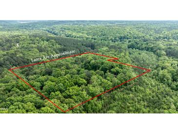 Expansive wooded lot surrounded by lush trees, offering privacy, with approximate property lines in red at 82 Deercorn Path, Moncure, NC 27559