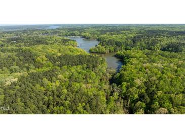 Stunning aerial view of the property with lush greenery and lake access showcasing the natural beauty at 435 Salt And Light Ln, Henderson, NC 27537