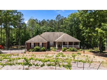 Charming brick home with a welcoming front porch and vineyard at 3005 Buckhorn Rd, Sanford, NC 27330