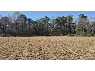 A large plot of land ready for building is visible in this real estate listing image at 214 Alden Way, Angier, NC 27501