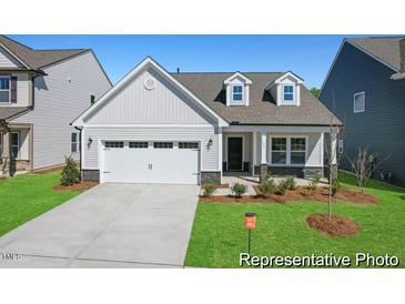 Charming single-Gathering home with a two-car garage and well-manicured lawn at 169 Nashua Dr # 2590P, Louisburg, NC 27549